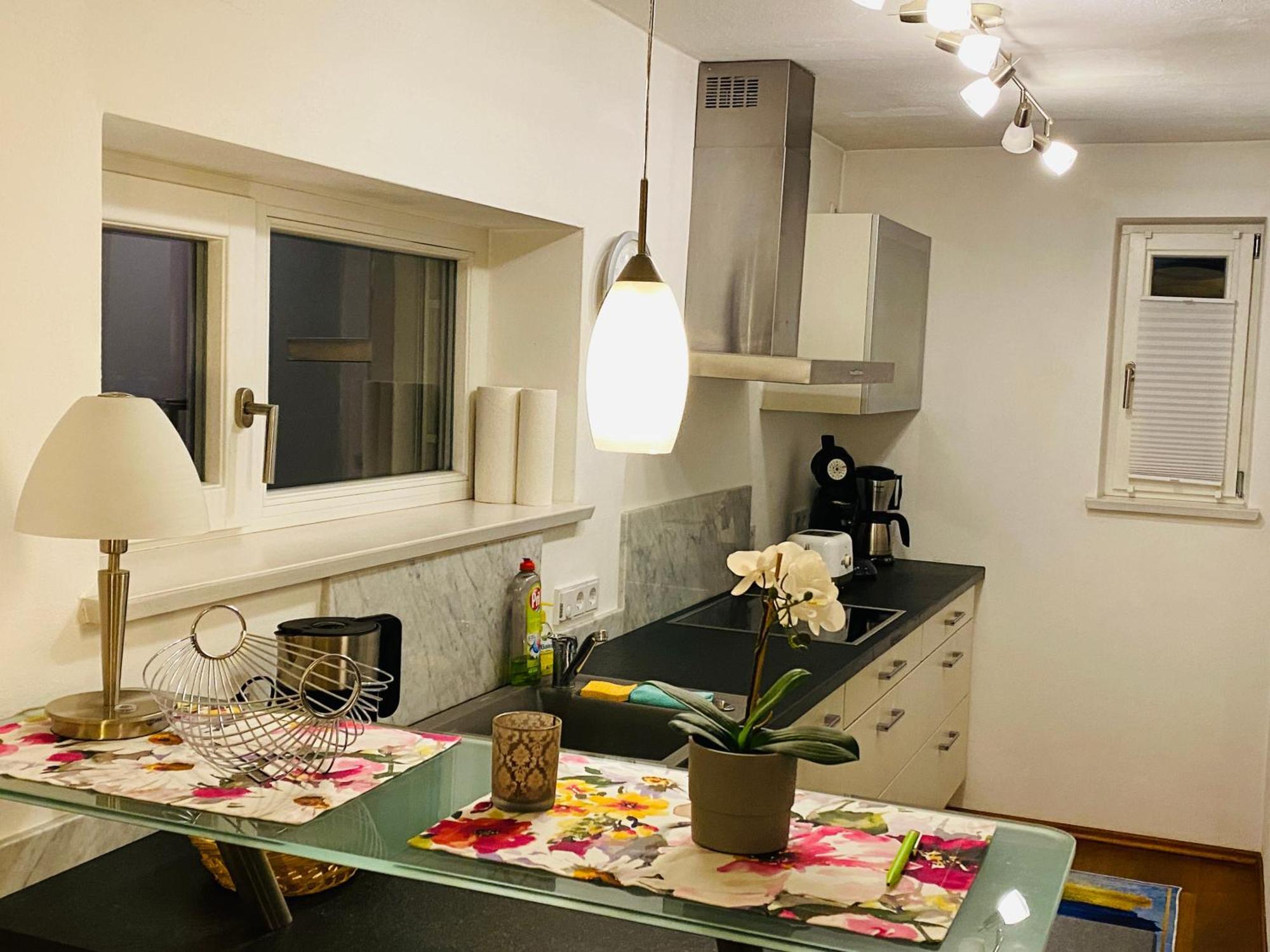 Fewo Luxus Wohnung Im Eigenen Ferienhaus, 120 Qm, Naehe Regensburg Mit Balkon, Terrasse & Garten, Gute Zuganbindung Laaber Ngoại thất bức ảnh